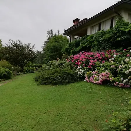 Profumo Di Pane - * Traversetolo