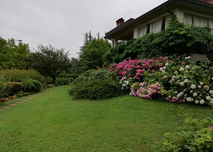 Profumo Di Pane - * Traversetolo